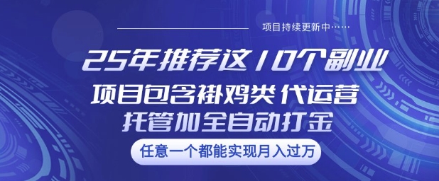 25年推荐这10个副业项目包含褂鸡类、代运营托管类、全自动打金类【揭秘】-青崖网创科技