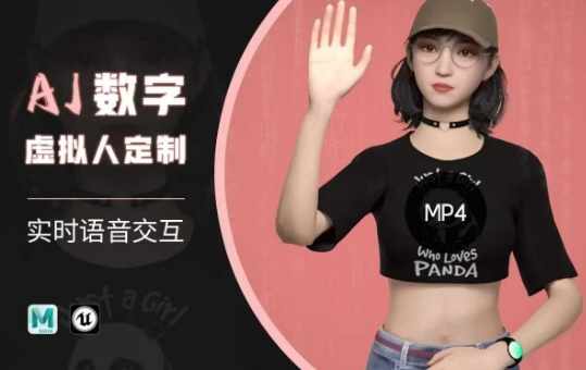 Ai数字人虚拟(智能体)实时语音交互特训营，​自行定制超写实角色AI数字人交互技术-青崖网创科技